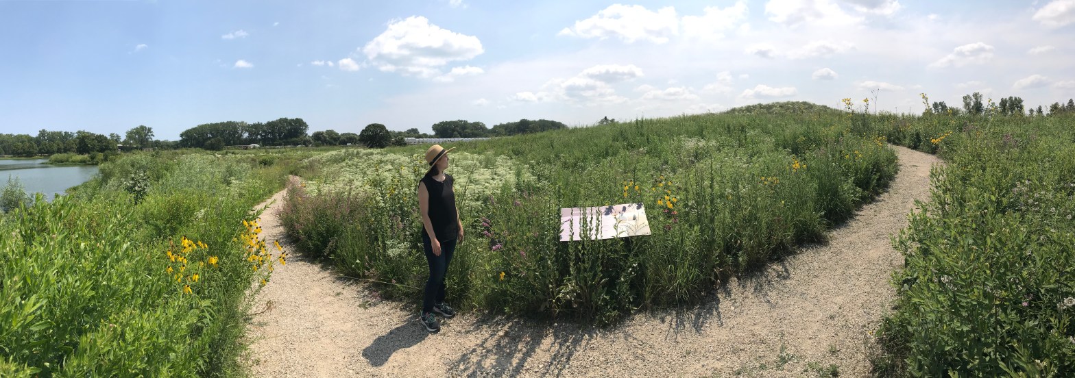 prairie, gardens, chicago botanic garden, chicago, haiku, nature writing